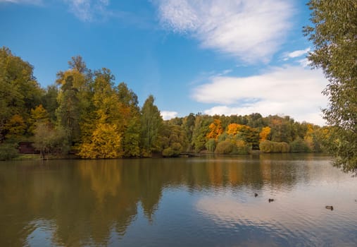 Autumn foliage with water reflection natural landscape.
