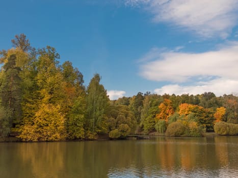 Autumn foliage with water reflection natural landscape.