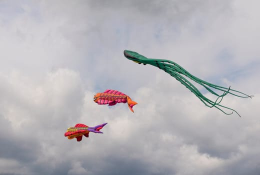 MOSCOW - AUGUST 27: Feast of kites in the park on August 27, 2017 in Moscow, Russia.