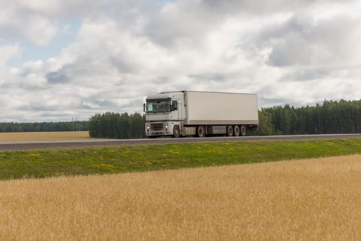 The truck is driving along the road against the background of a wheat field.