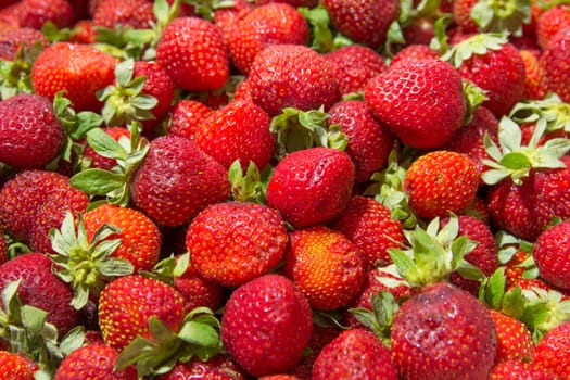 Background of beautiful and juicy strawberries with green leaves.