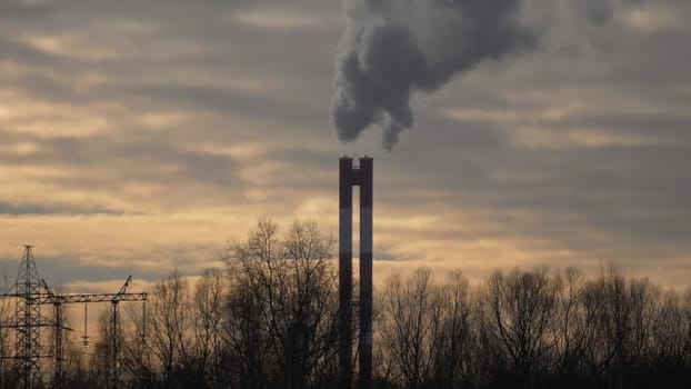 Tall chimney with acrid smoke against the background of tall trees without foliage.