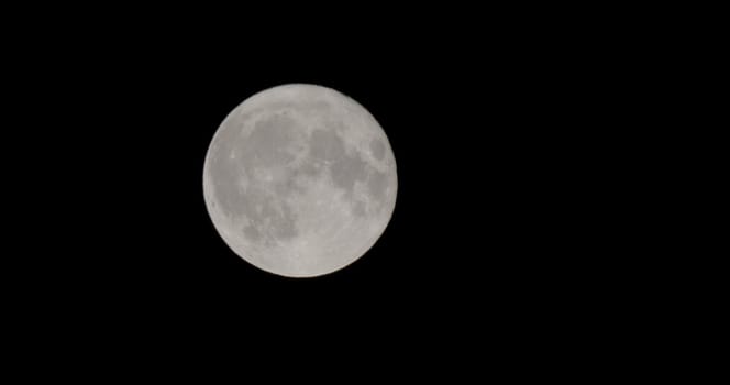 Full moon on halloween day being Earth's only permanent natural satellite.