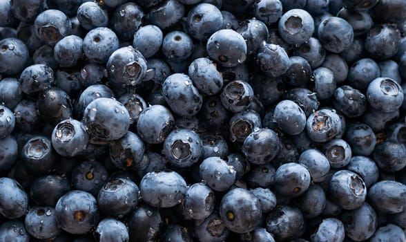 blueberry. Fresh Bilberries. Close-up background