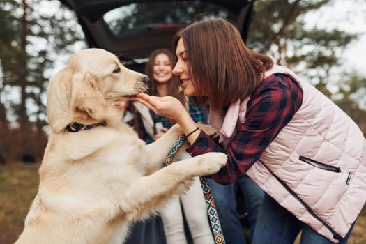 Happy family have fun with their dog near modern car outdoors in forest.