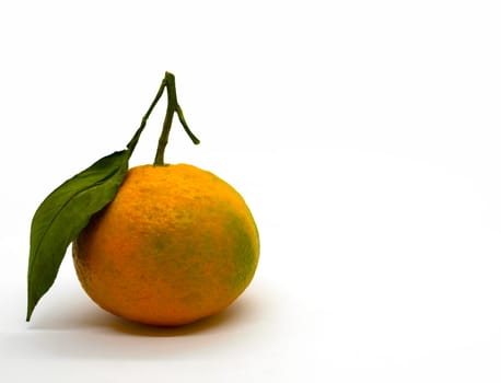 Tangerine with leaves. Tangerine with leaves on a white background.