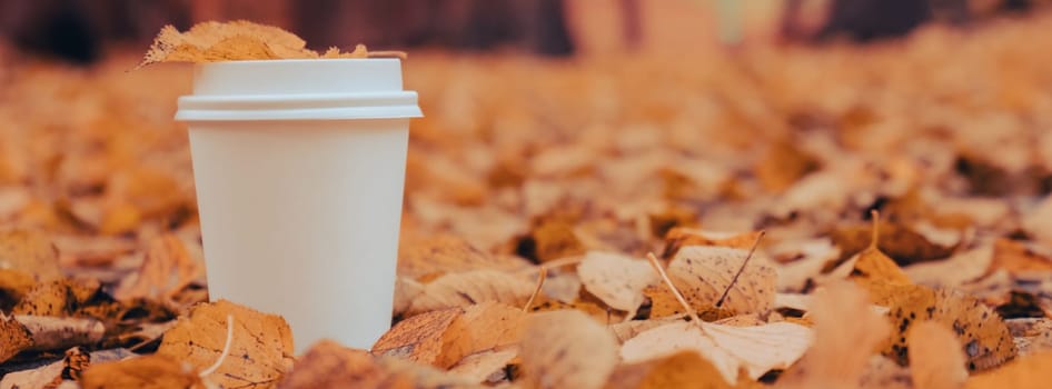 Eco zero waste white paper cup copy space mockup. Fall leaves and cup of tea coffee to go next to autumn nature. Unite with nature cottagecore
