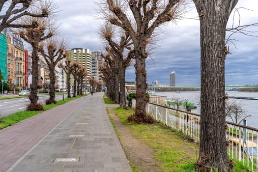 Cologne, Germany - March 23, 2023: alley on the river bank.