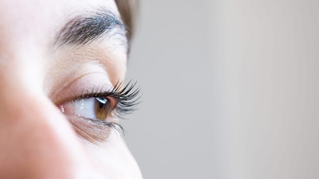 Close-up of a woman's eye after an eyelash lamination procedure