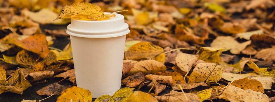 Eco zero waste white paper cup copy space mockup. Fall leaves and cup of tea coffee to go next to autumn nature. Unite with nature cottagecore