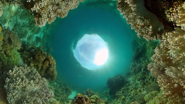 Underwater world with coral reef and tropical fishes. Travel vacation concept