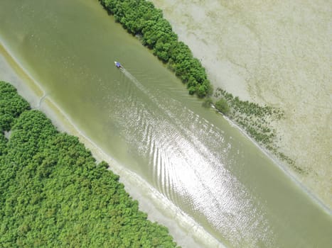 Aerial shot on The mangrove beach in Romokalisari, Surabaya, East Java, Indonesia