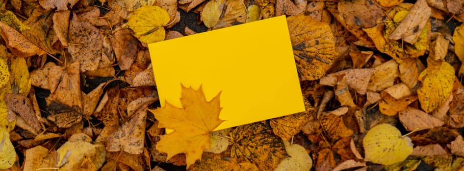 Empty yellow envelope mock up around Colorful falling autumn leaves. Template card. Golden tree leaves. Beautiful tree with yellow leaves in autumn forest. Path littered with autumn leaves. Nature fall landscape background