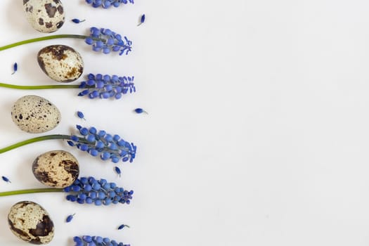 Easter quial eggs and fresh blue spring flowers. White textile background. Happy easter concept, flat lay, copy space