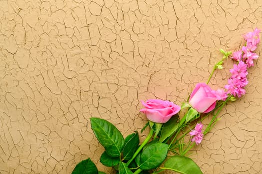 A closeup shot of beautiful flowers on a grunge background