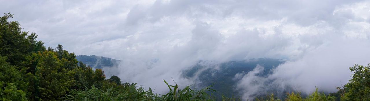 Panorama, Fog on the mountain behind the green forest