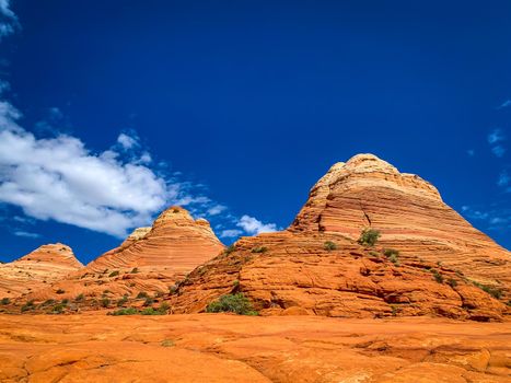 Sandstone rock formations located in Coyote Butte North, Arizona