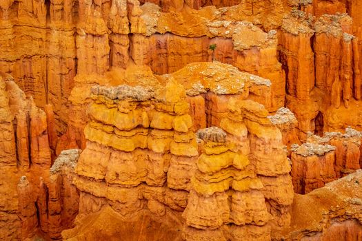 Hoodoos in Bryce Amphitheater, Bryce Canyon National Park, Utah