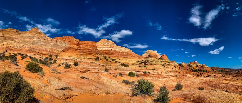 Sandstone rock formations located in Coyote Butte North, Arizona