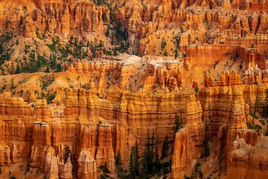 Hoodoos in Bryce Amphitheater, Bryce Canyon National Park, Utah