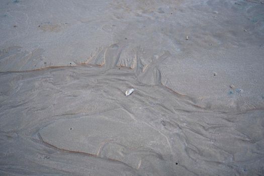 The floating groove of the habitat of Horn-eyed ghost crab or Ocypode on the white sand by the sea	