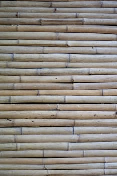 Dry bamboo wall.​ Light brown bamboo in small size, arranged horizontal​. The top surface of the bamboo litter.	
