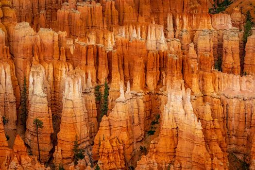 Hoodoos in Bryce Amphitheater, Bryce Canyon National Park, Utah