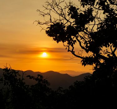 Sunset behind the mountains, the sky is orange of the mountains that are far away, reflecting orange light. Silhouette tree.