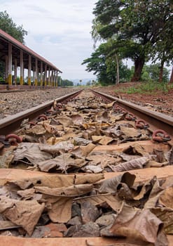 The railway station area. In the train tracks are full of dried leaves.