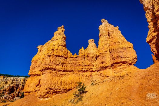 Hoodoos in Bryce Amphitheater, Bryce Canyon National Park, Utah