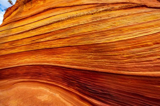 The Wave is a famous sandstone rock formation located in Coyote Buttes, Arizona, known for its colorful, undulating forms