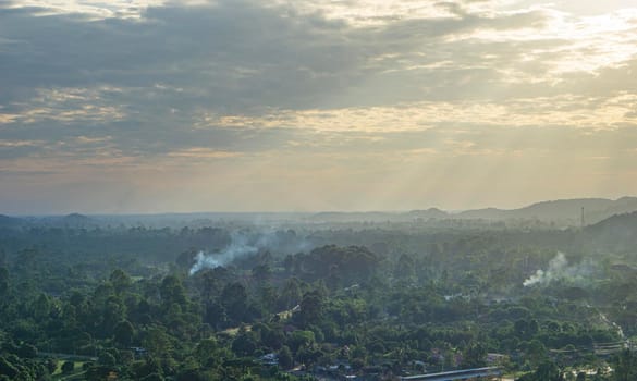 Burning weeds, burning the seedlings of villagers is the cause of wildfire.