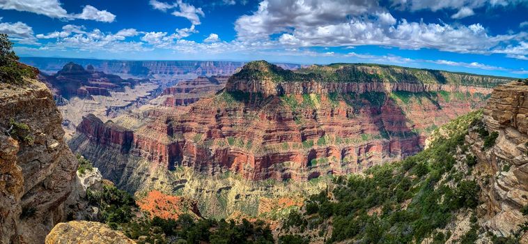 Grand Canyon National Park viewed from North Rim, at Bright Angel Point