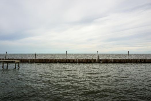 Dried bamboo together into the sea. Prevent coastal erosion from seawater.