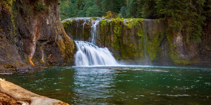 Upper Lewis Falls in Gifford Pinchot National Forest, Washington