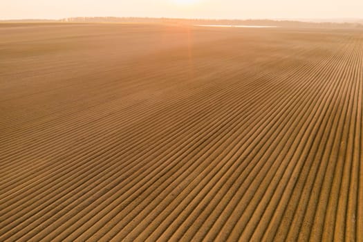 Aerial view of the agricultural field with furrows on soil at sunset