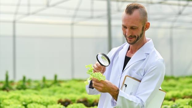 Portrait of Agricultural scientists with magnifying glass examining plants for disease in industrial greenhouse.