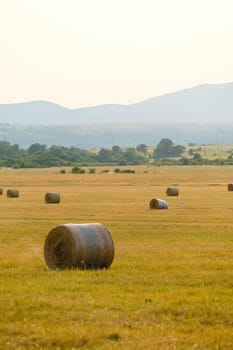 Rural landscape with bales of wheat straw against blurry green mountains at sunlight. Countryside scenery with bales scattered on field