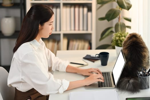 Focused female freelancer in smart casual wears looking at laptop screen, working online or checking email at the morning.