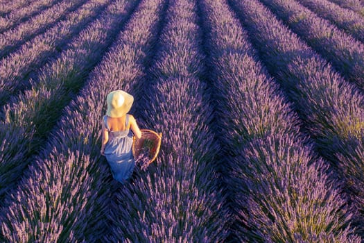 A woman in a hat and a beautiful dress collects lavender in a basket.