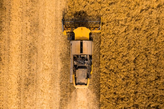 Top view of a combine harvester harvesting wheat from a field.