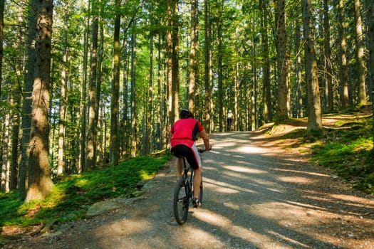 The cyclist rides along a forest road