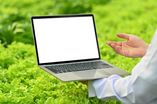 Close up view of agricultural scientists holding laptop standing in hydroponic greenhouse. Blank screen for advertising text message.