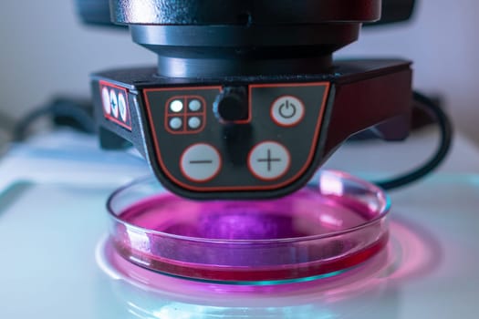 A modern electronic microscope for examing samples in Petri dish in the biochemical or medical laboratory.