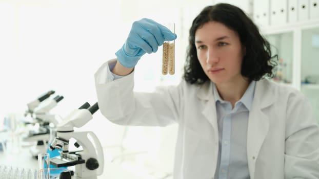 Male chemist studying structure of grains of wheat and rice in test tube in laboratory. Breeding new varieties of plants concept