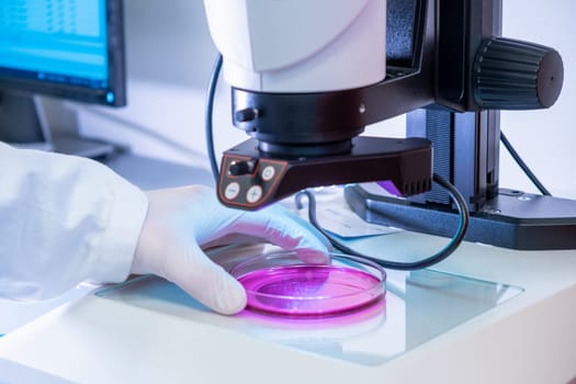 Scientist in latex gloves and lab coat putting samples under electronic microscope for testing or examination in microbiological or chemical laboratory.