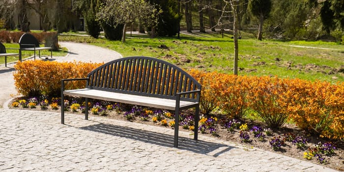 Green wooden bench in the park on sunny day in autumn spring summer season. Public Olivia park in Gdansk Poland. City park with benches scenery landscape. Urban garden with street lamps along pathway perspective view on cityscape background, empty public place with green trees Unity with nature calm place