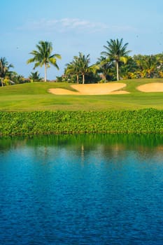 A golf course with palm trees in the background.