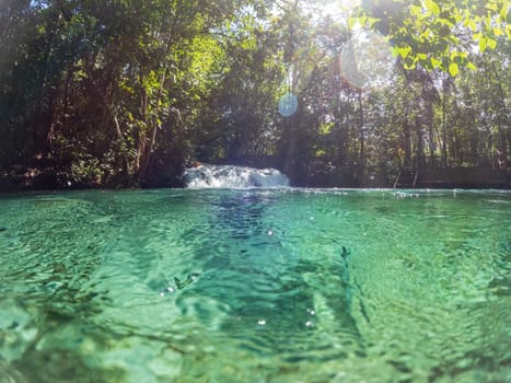 This picturesque tropical location boasts stunning underwater textures and a lush forest backdrop. Ideal for outdoor summer vacations.