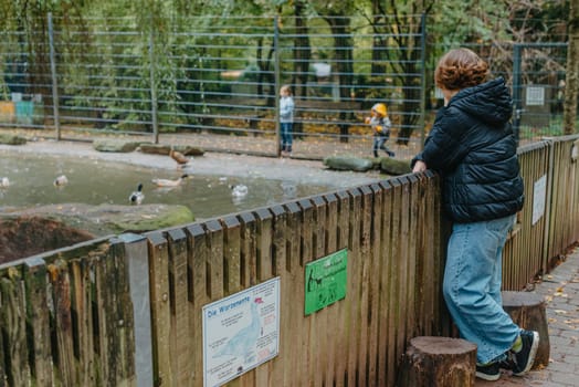 Teenader girl in the zoo. Girl watches in a zoo or nature park reserve.